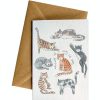 Eco Cards Friendsheep | Absolutely Not A Crazy Cat Lady-Greeting Card