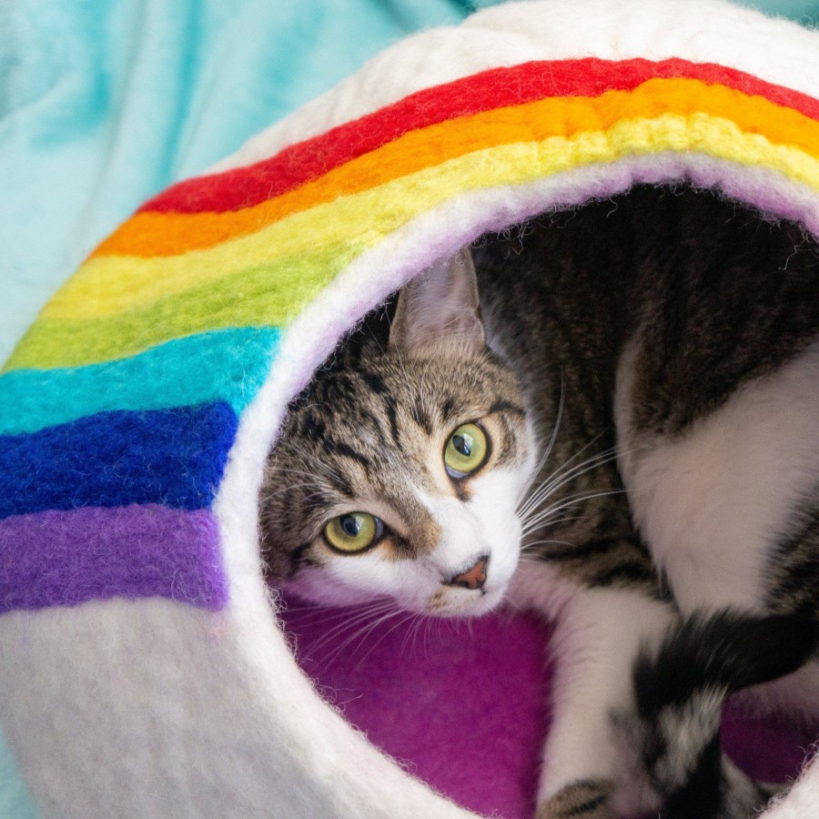 Eco Decor Friendsheep | Rainbow Eco Kitty Cave