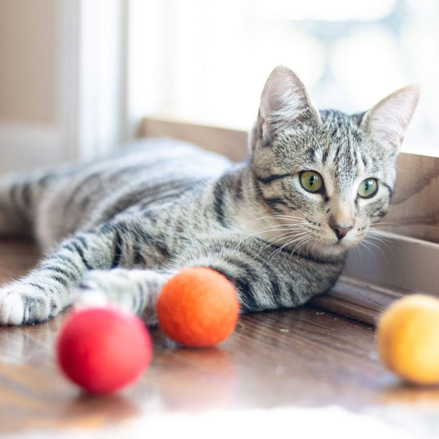 Eco Pets Friendsheep | Eco Toy Balls " Crush"-Set Of 6 Orange