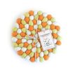 Eco Decor Friendsheep | Candy Corn Eco Coasters